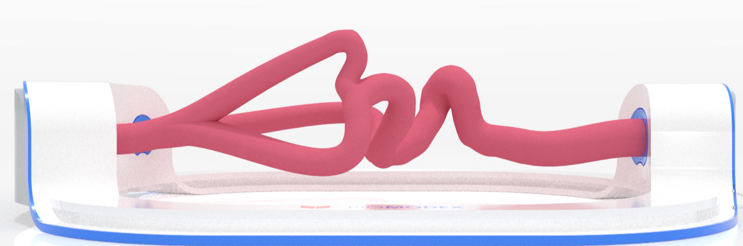 EVIAS -ISS -Cartridge - Clear#0001 Hard