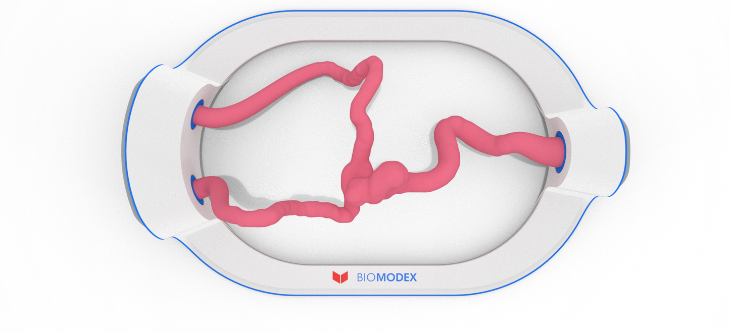 EVIAS -HMS -Cartridge - #345