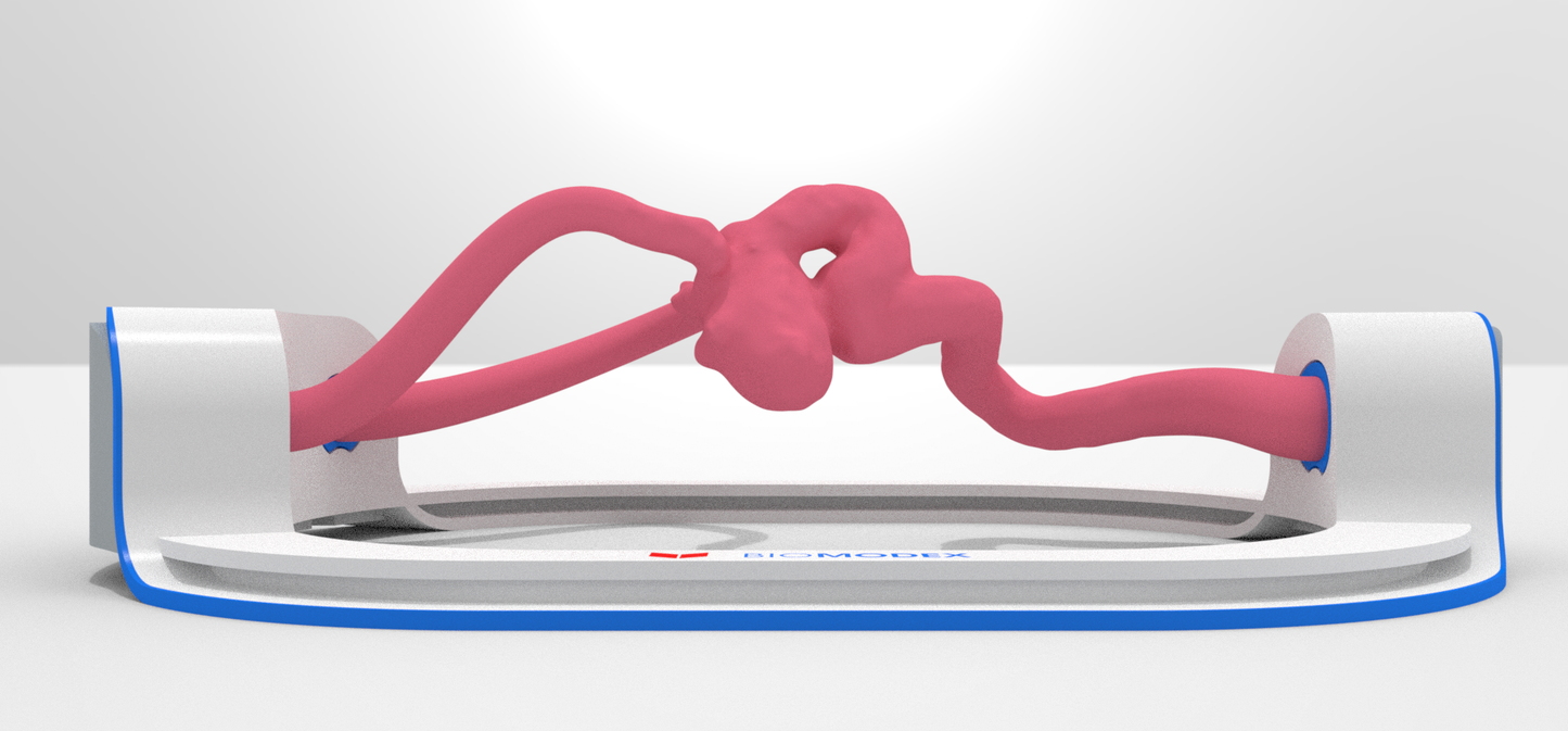 EVIAS -HMS -Cartridge - #0106