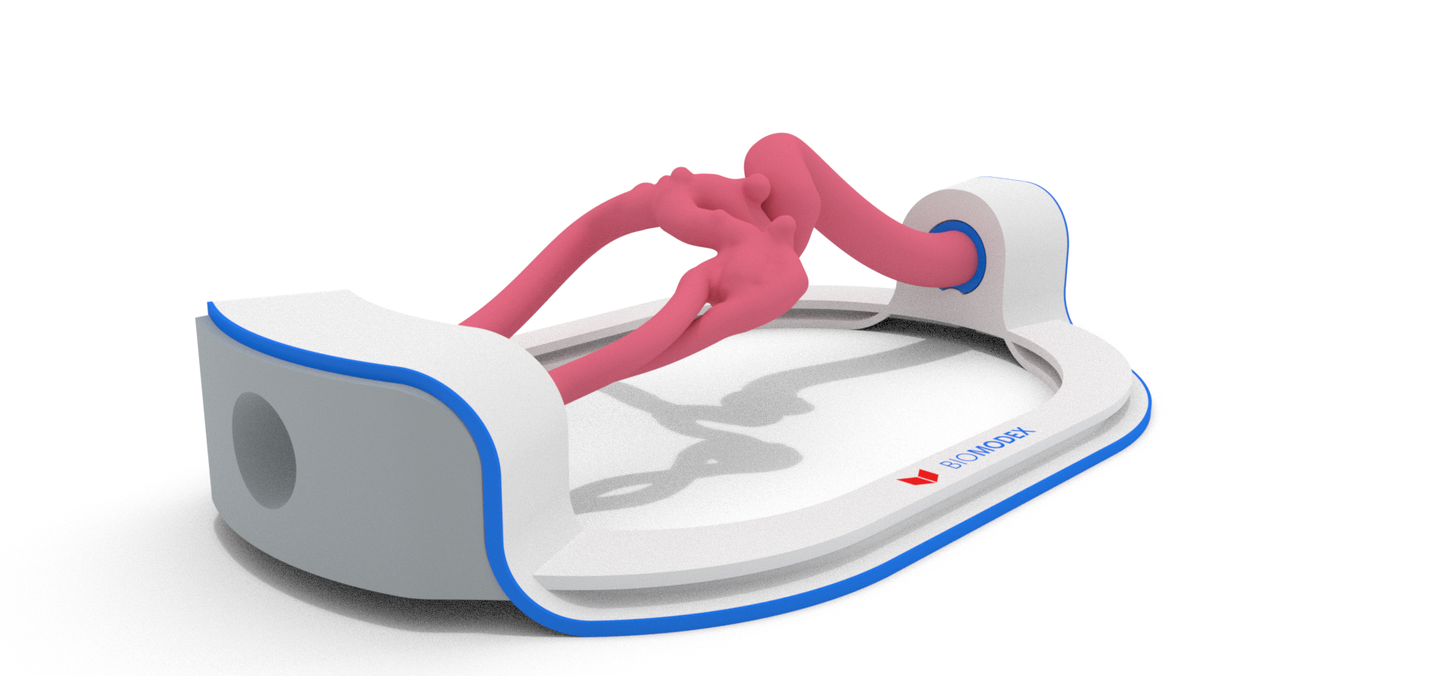 EVIAS -HMS -Cartridge - #181