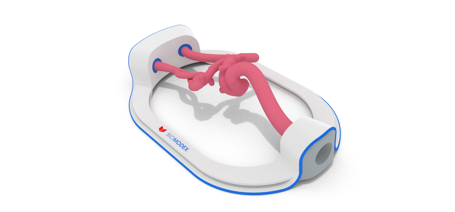 EVIAS -HMS -Cartridge - Clear#181