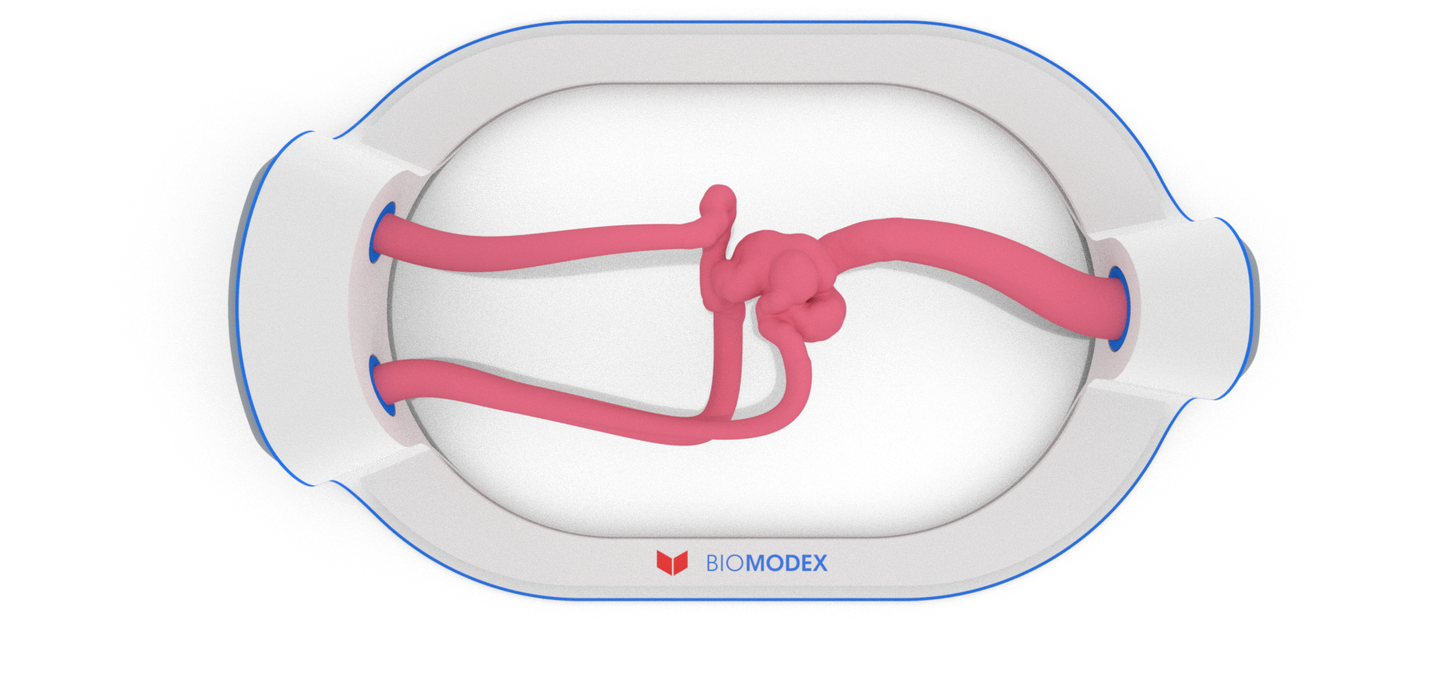 EVIAS -HMS -Cartridge - #193