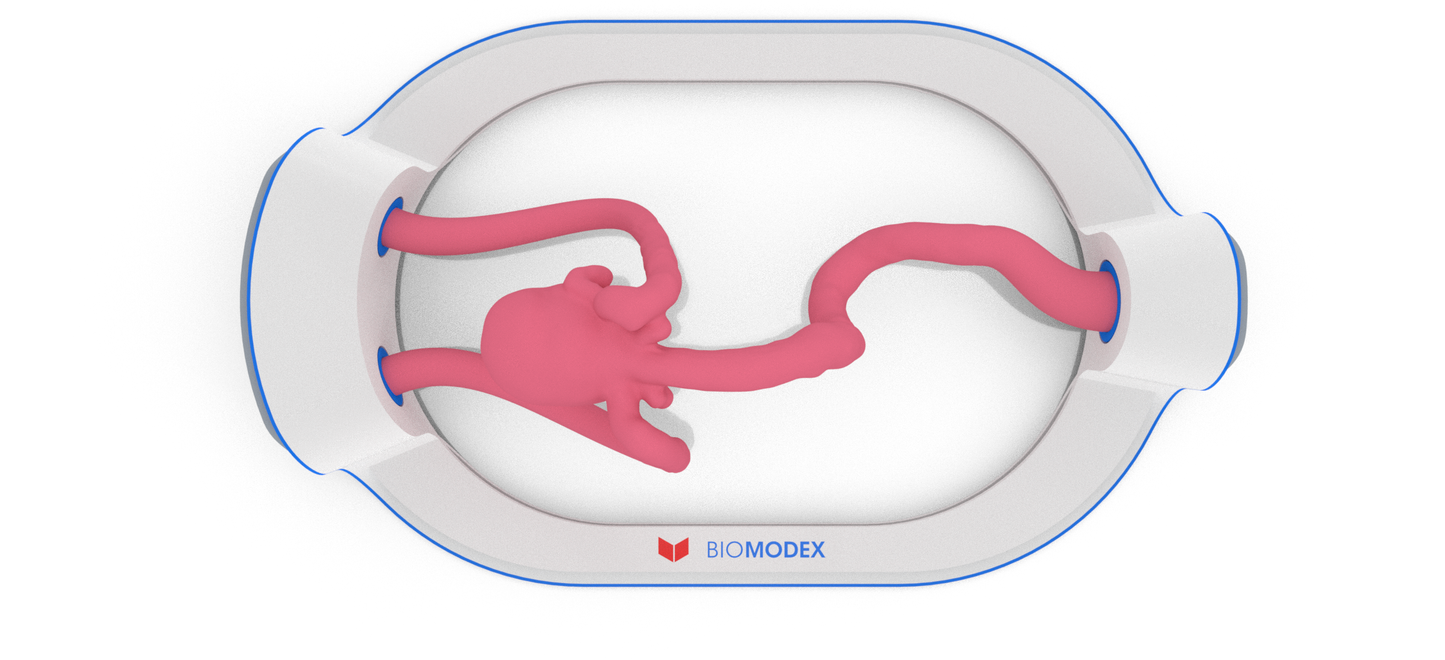 EVIAS -HMS -Cartridge - #206