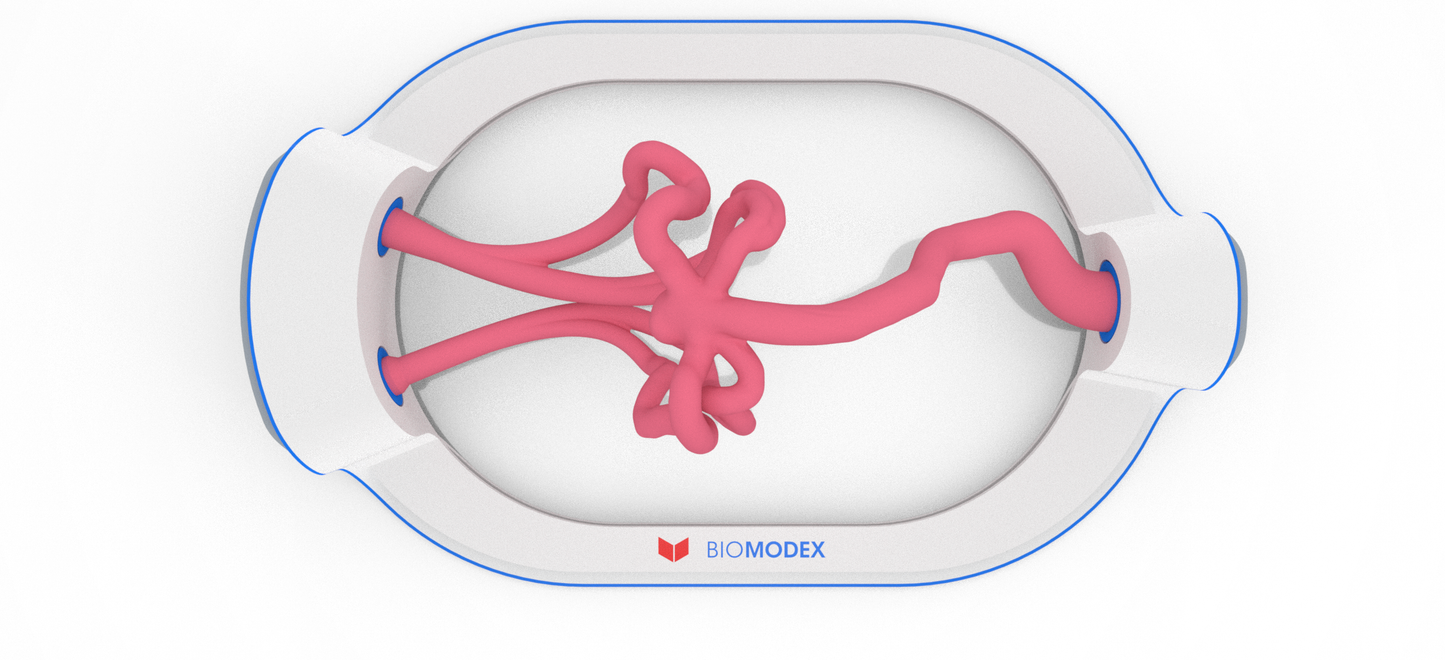 EVIAS -HMS -Cartridge - #211