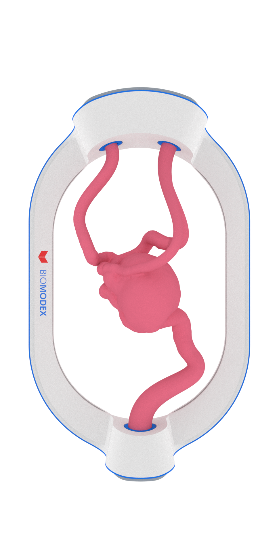 EVIAS -HMS -Cartridge - #173