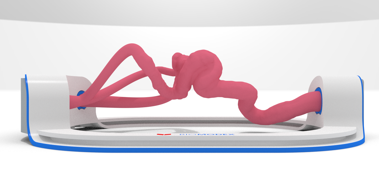 EVIAS -HMS -Cartridge - Clear#180