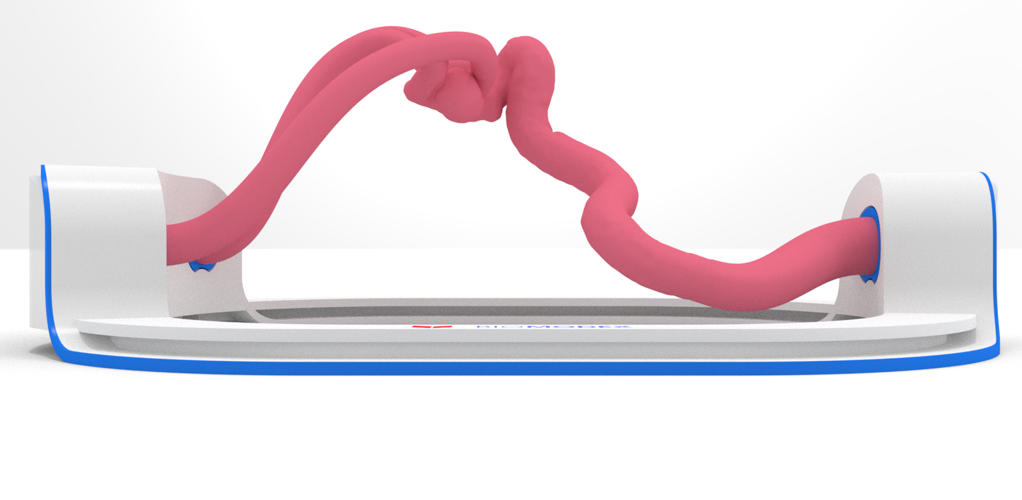 EVIAS -HMS -Cartridge - Clear#36