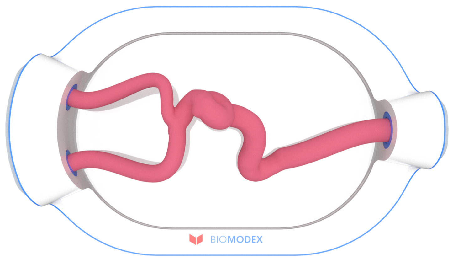 EVIAS -HMS -Cartridge - #0606