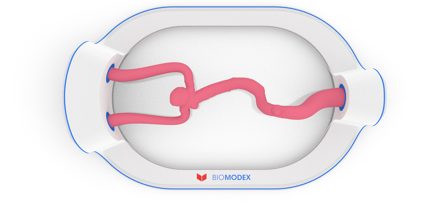 EVIAS -HMS -Cartridge - #8