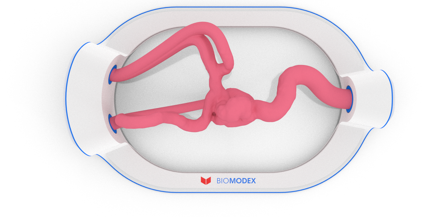 EVIAS -HMS -Cartridge - #68