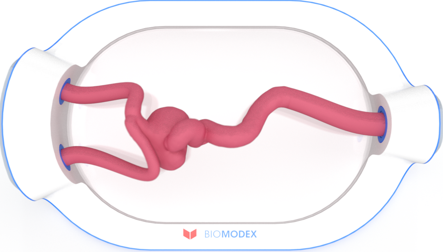 EVIAS -HMS -Cartridge - #0745