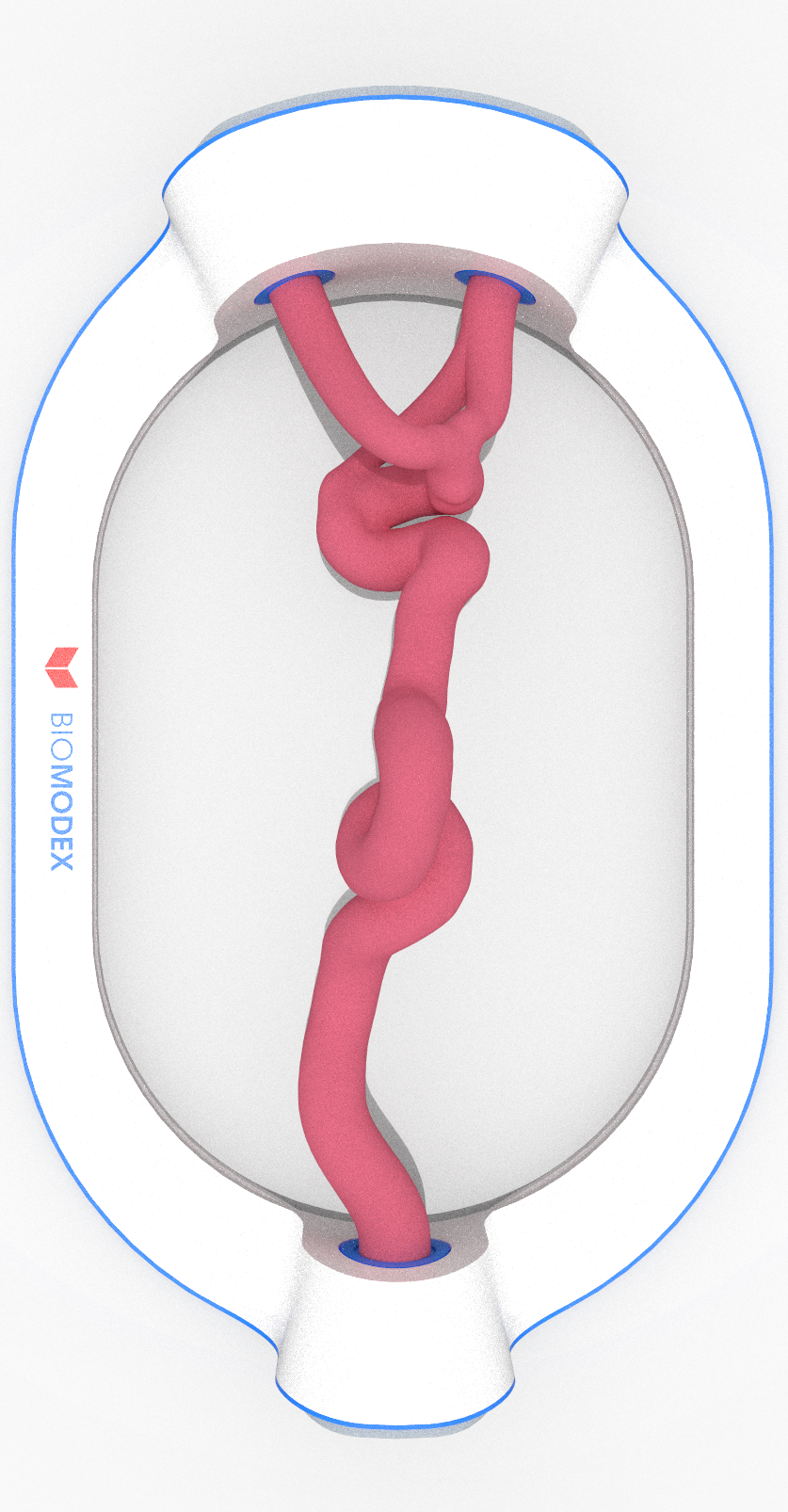 EVIAS -ISS -Cartridge - #0006