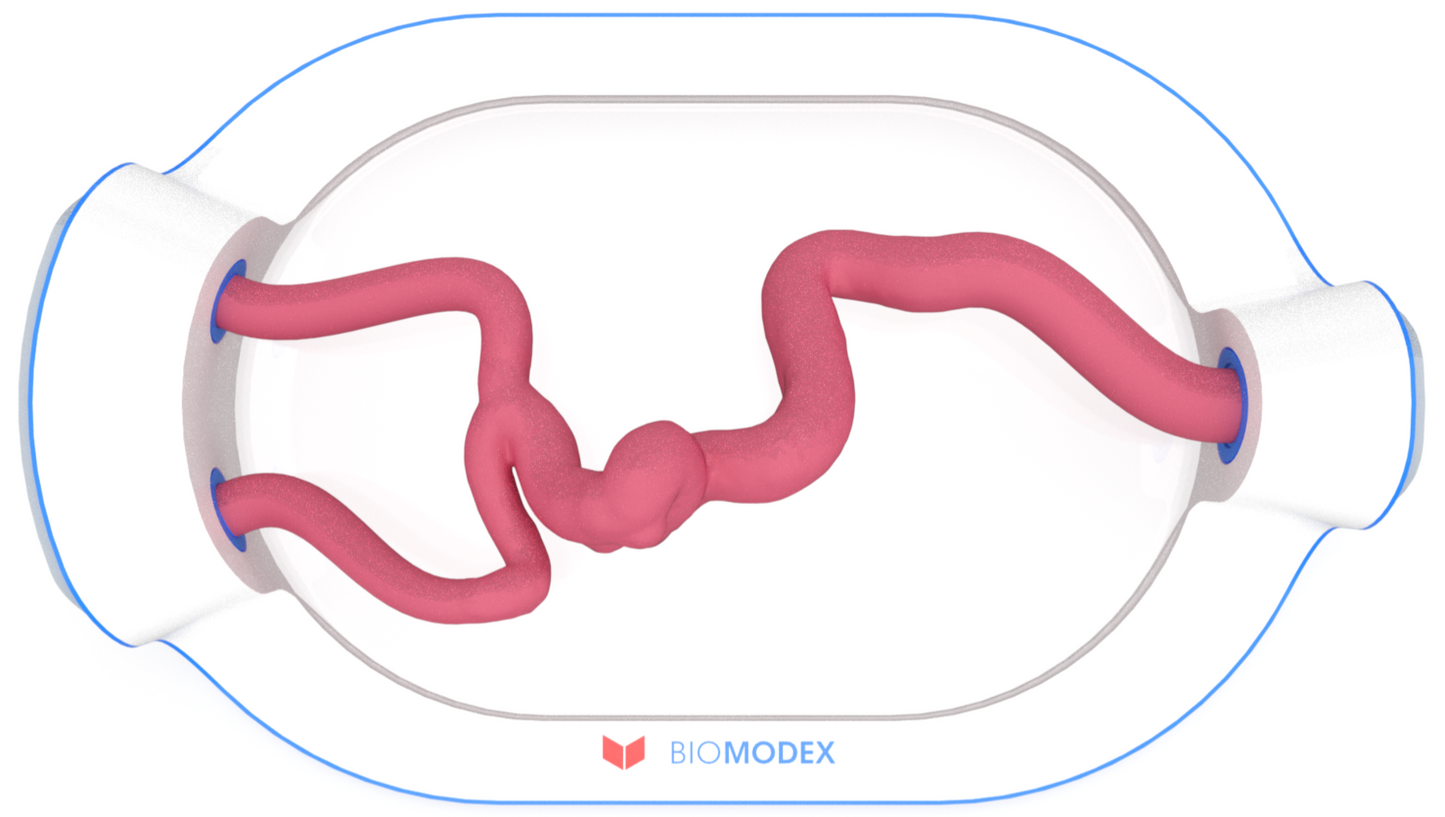 EVIAS -HMS -Cartridge - #0640