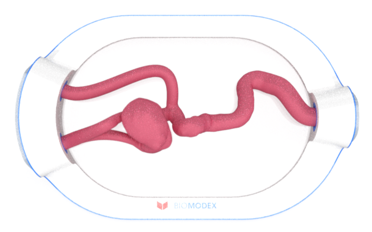 EVIAS -HMS -Cartridge - #0673