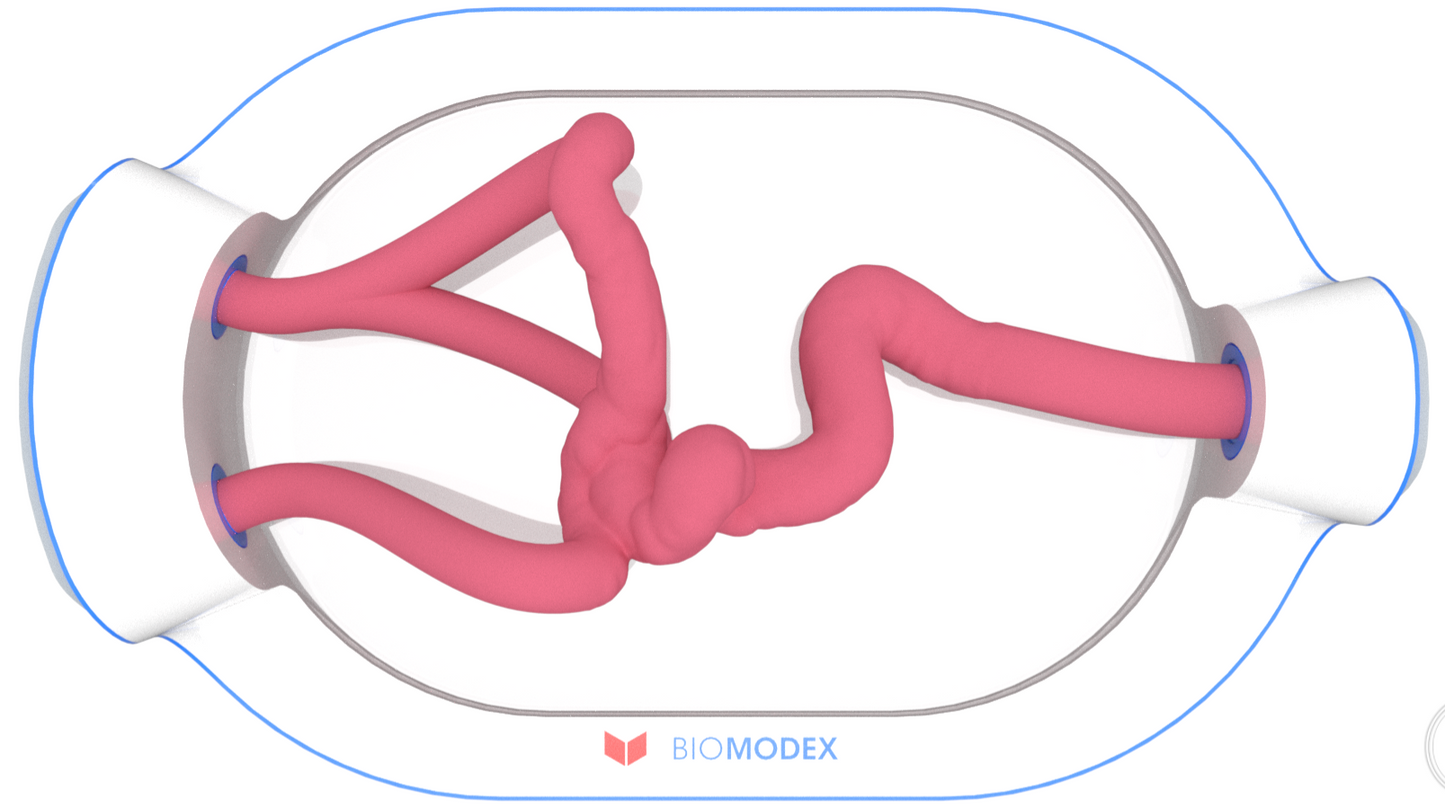 EVIAS -HMS -Cartridge - #0624