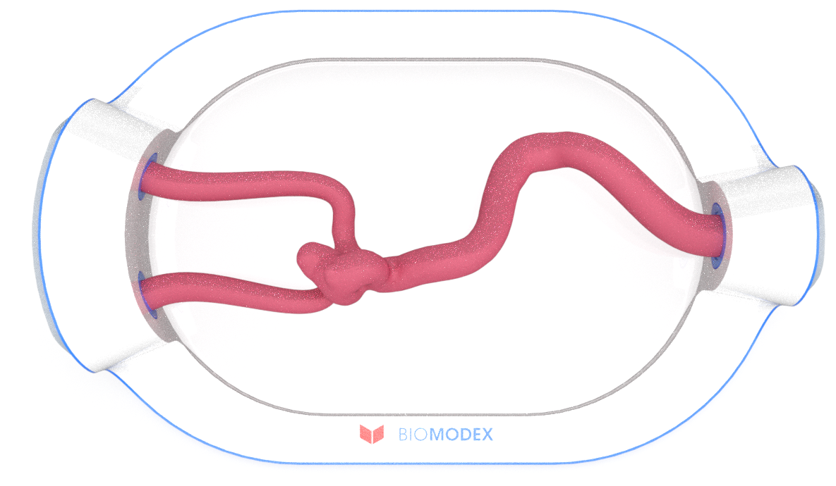 EVIAS -HMS -Cartridge - #0646