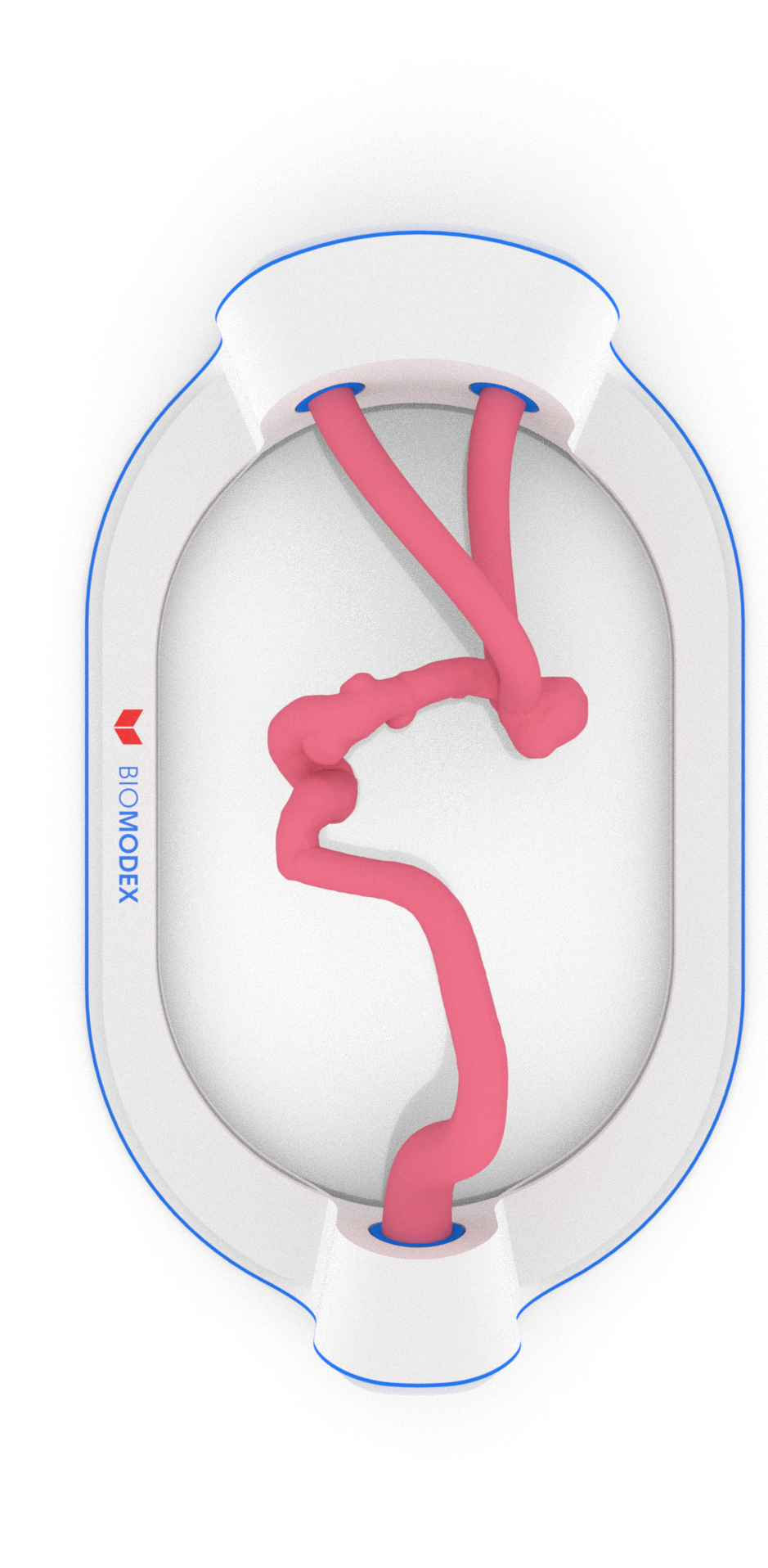 EVIAS -HMS -Cartridge - #10