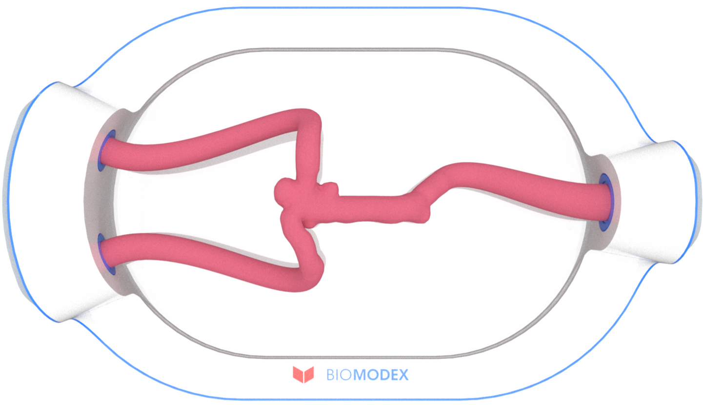 EVIAS -HMS -Cartridge - #0598