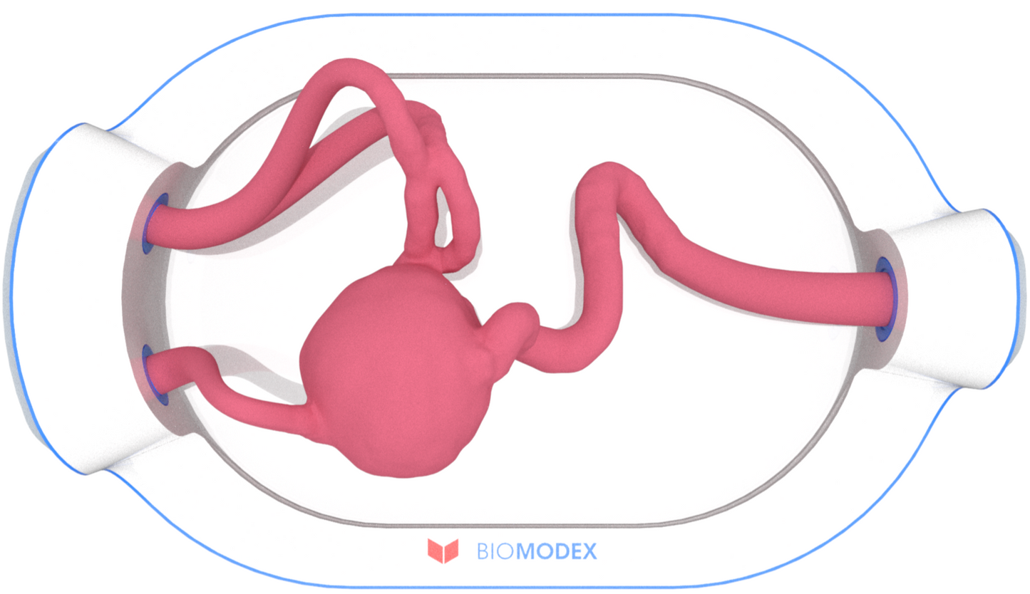 EVIAS -HMS -Cartridge - #0597