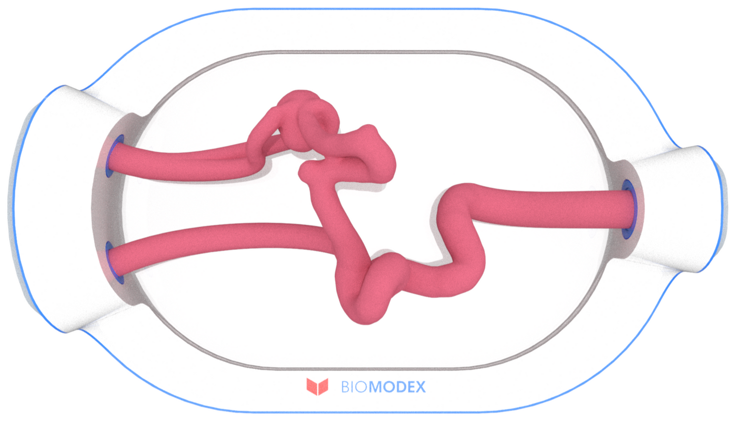 EVIAS -HMS -Cartridge - #0596