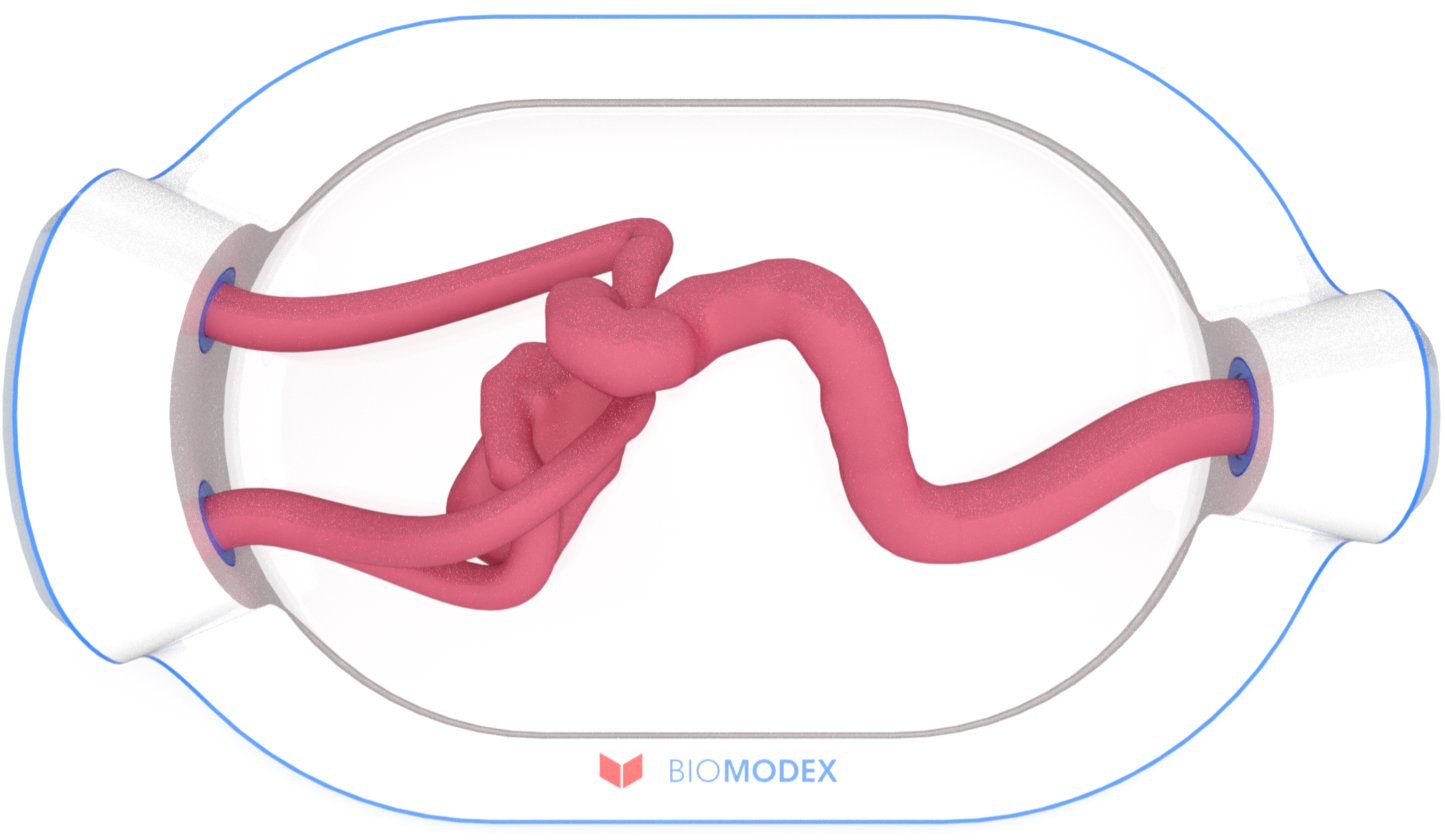 EVIAS -HMS -Cartridge - #0658