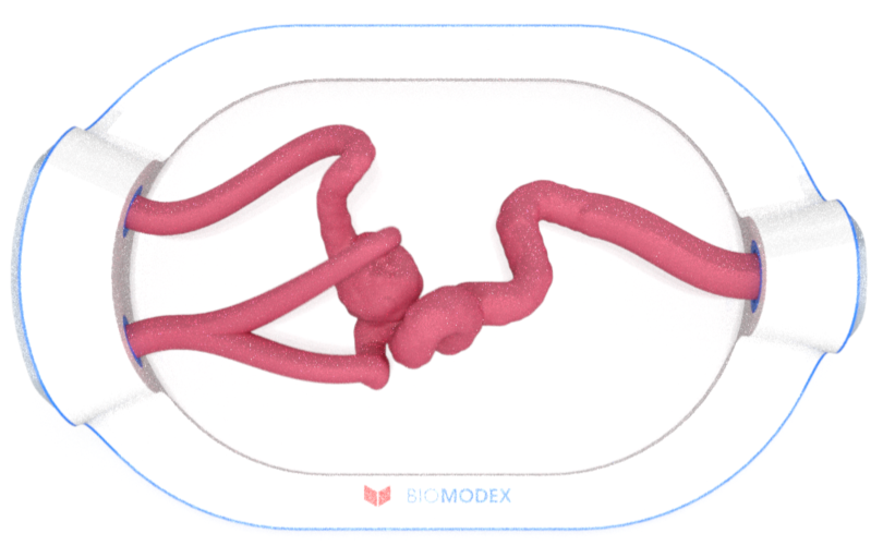 EVIAS -HMS -Cartridge - #0678