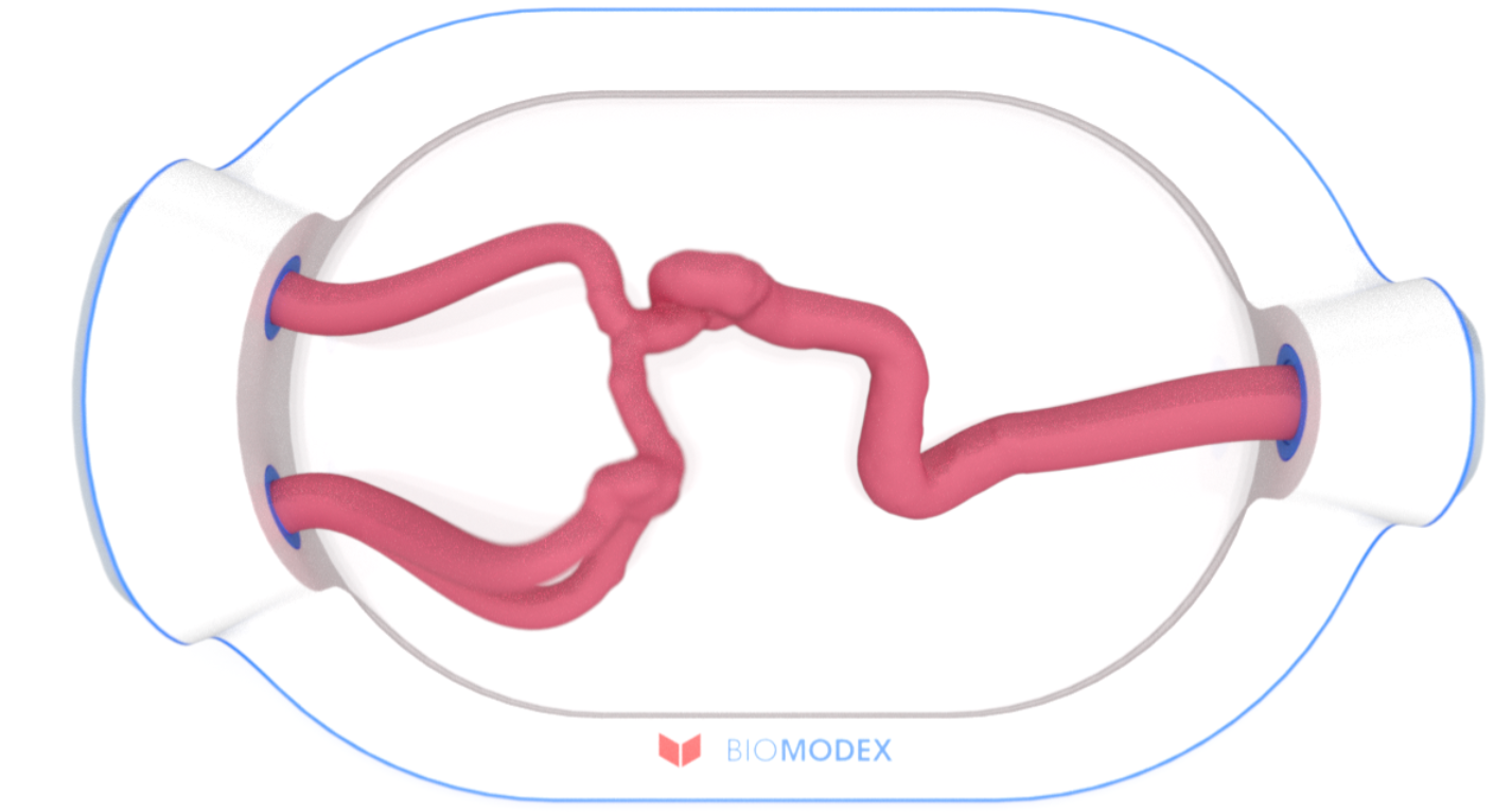 EVIAS -HMS -Cartridge - #0690