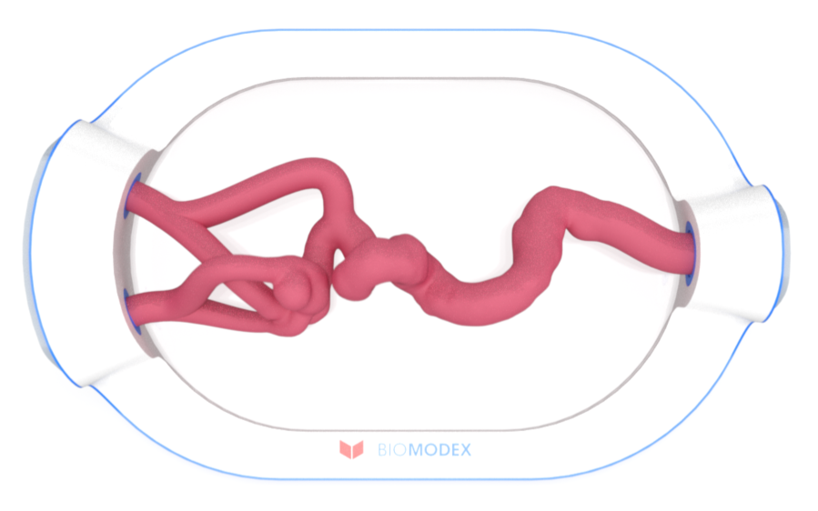 EVIAS -HMS -Cartridge - #0675