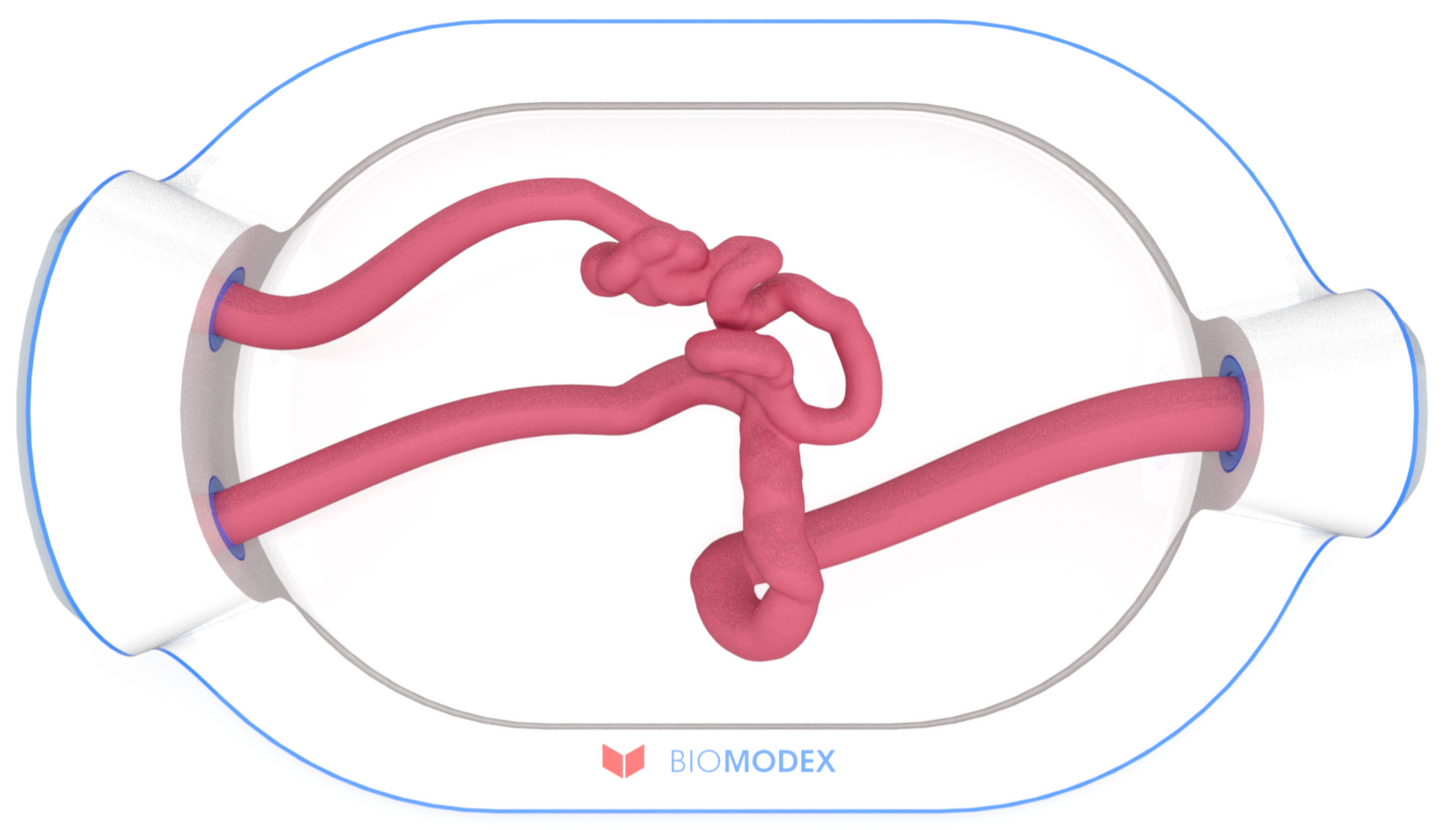 EVIAS -HMS -Cartridge - #0648