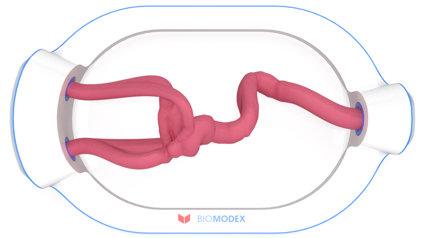 EVIAS -HMS -Cartridge - #0652