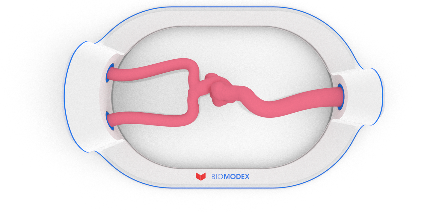 EVIAS -HMS -Cartridge - #26