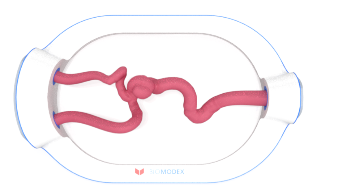 EVIAS -HMS -Cartridge - #0695