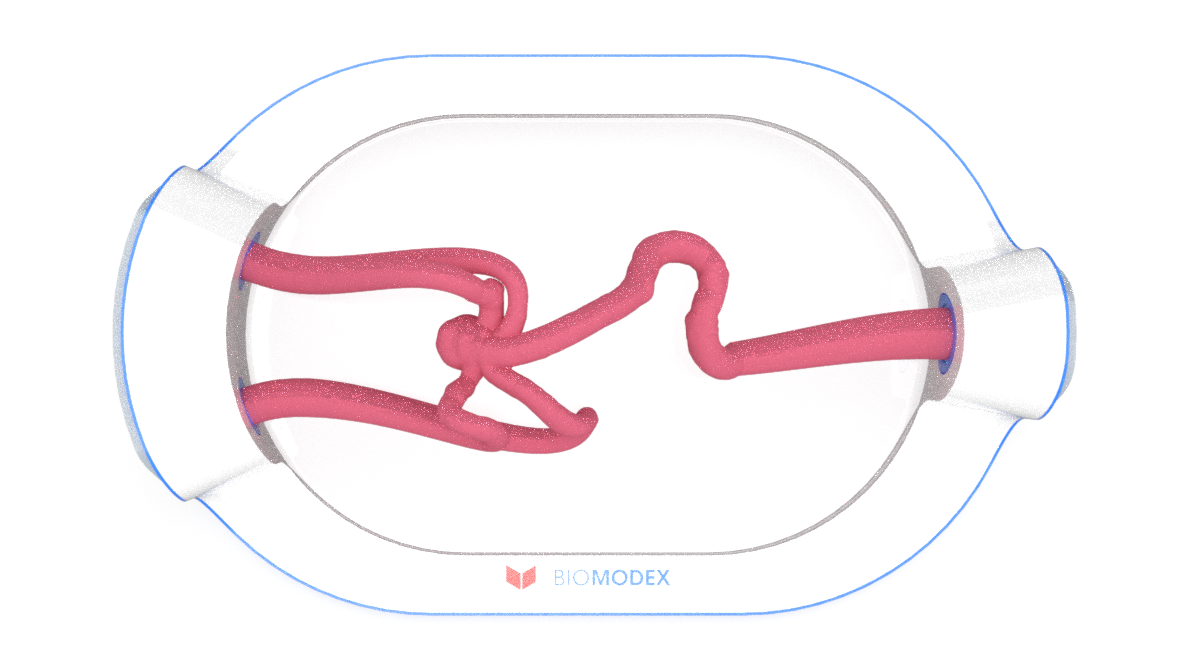 EVIAS -HMS -Cartridge - #0634