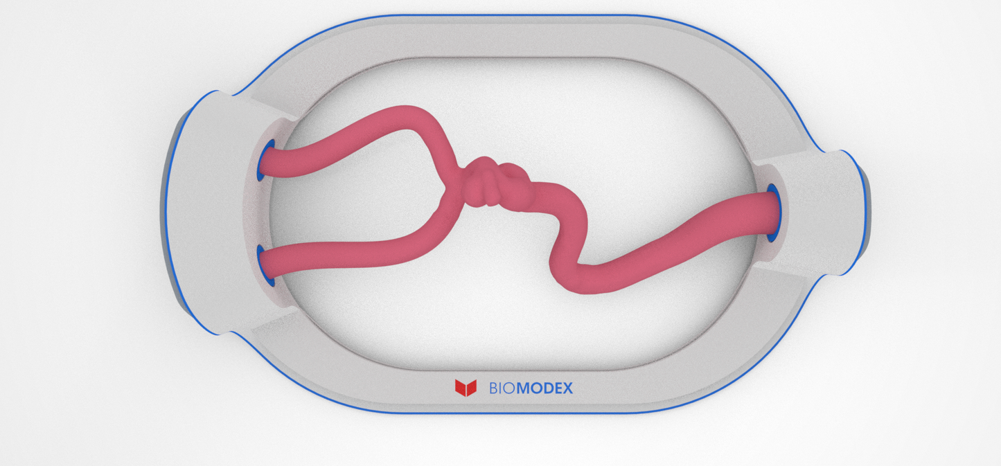 EVIAS -HMS -Cartridge - #84