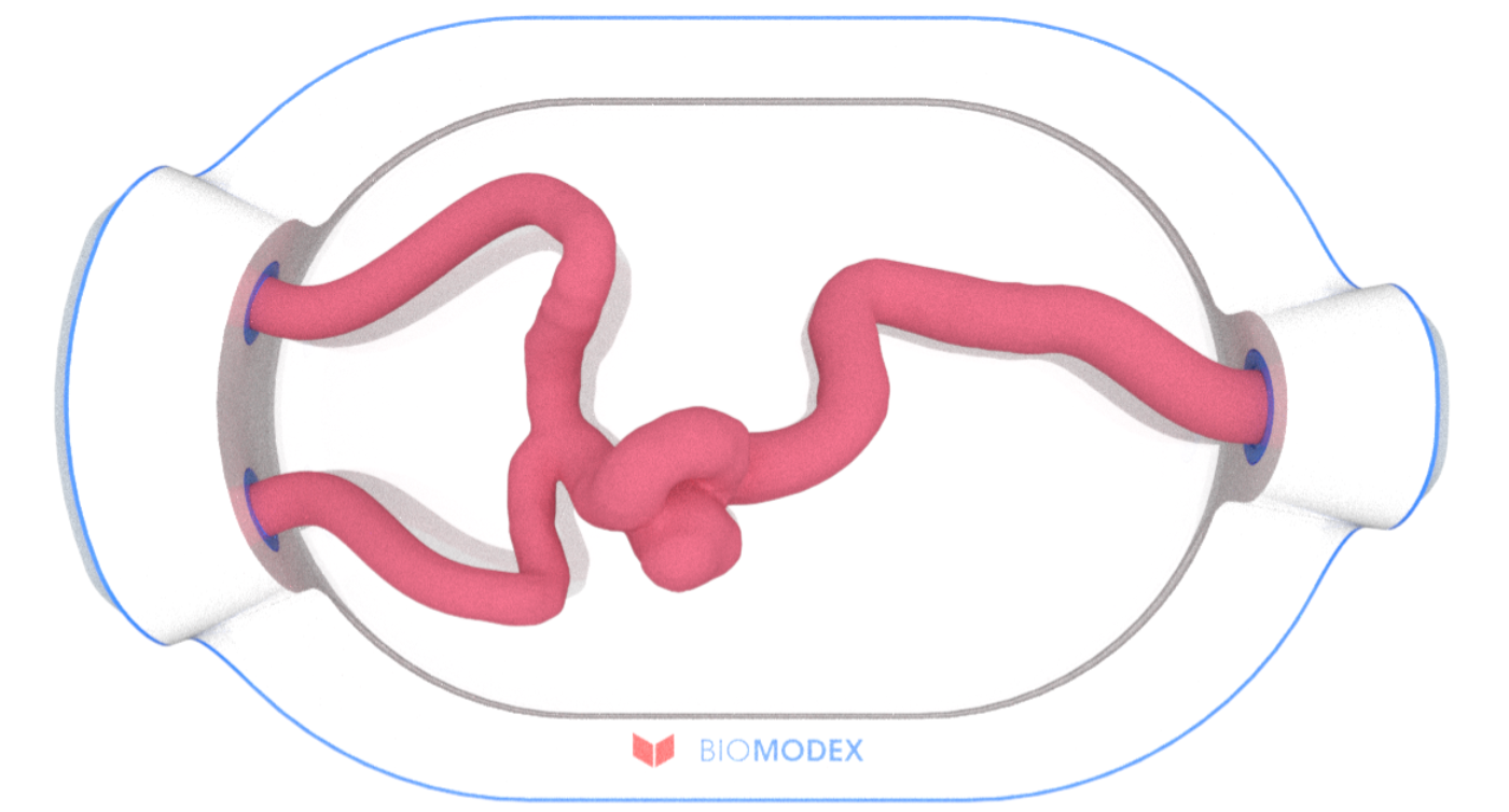 EVIAS -HMS -Cartridge - #0578