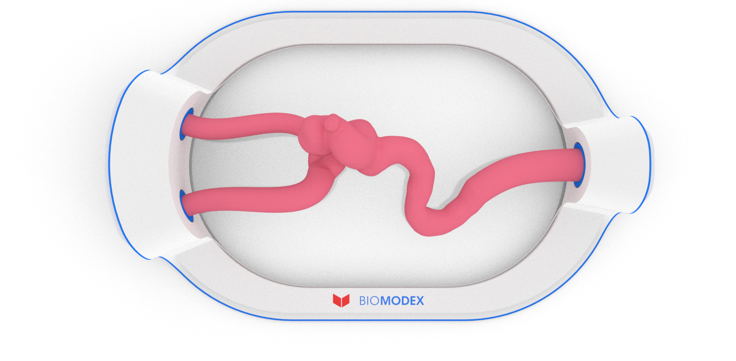 EVIAS -HMS -Cartridge - #19