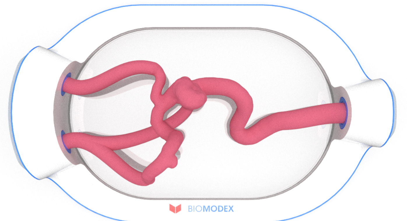 EVIAS -HMS -Cartridge - #0536