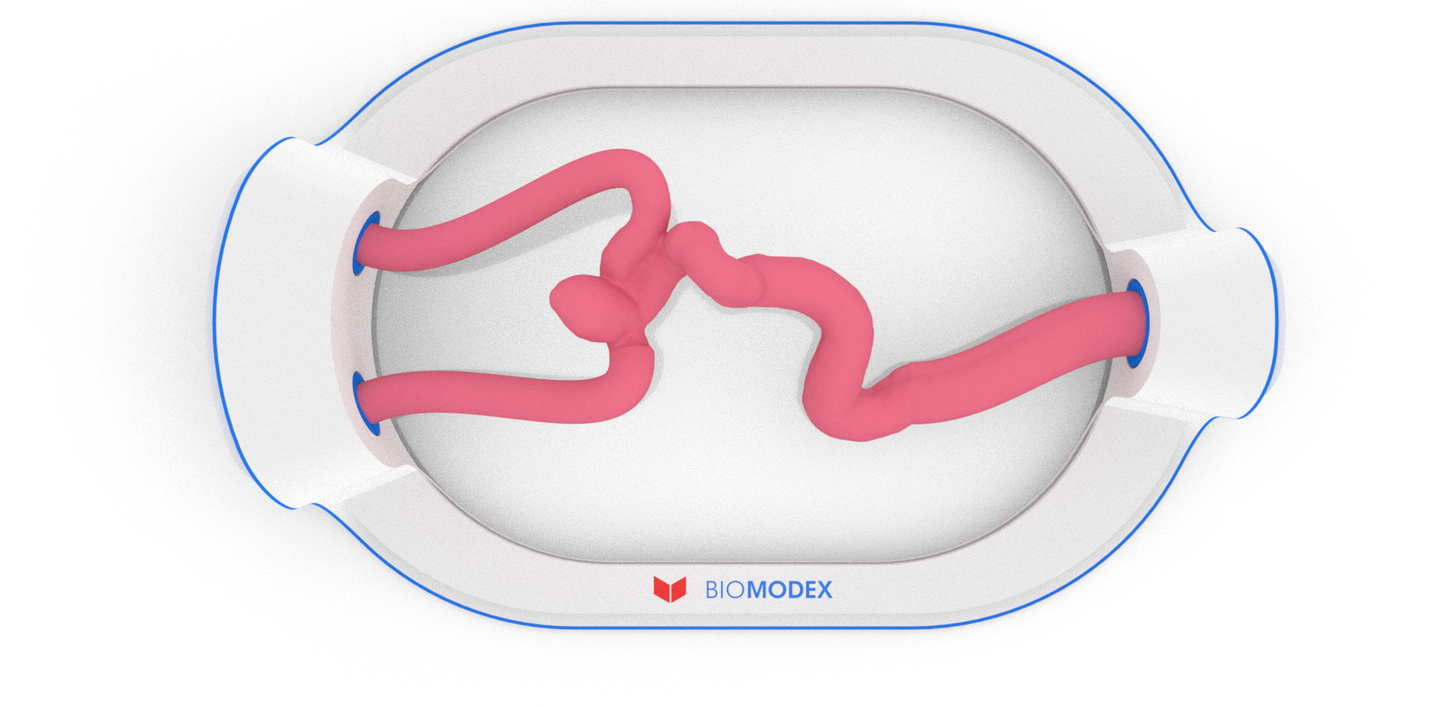 EVIAS -HMS -Cartridge - #51