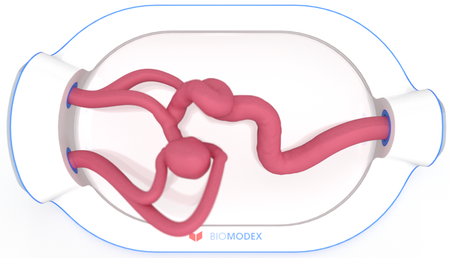 EVIAS -HMS -Cartridge - #0741