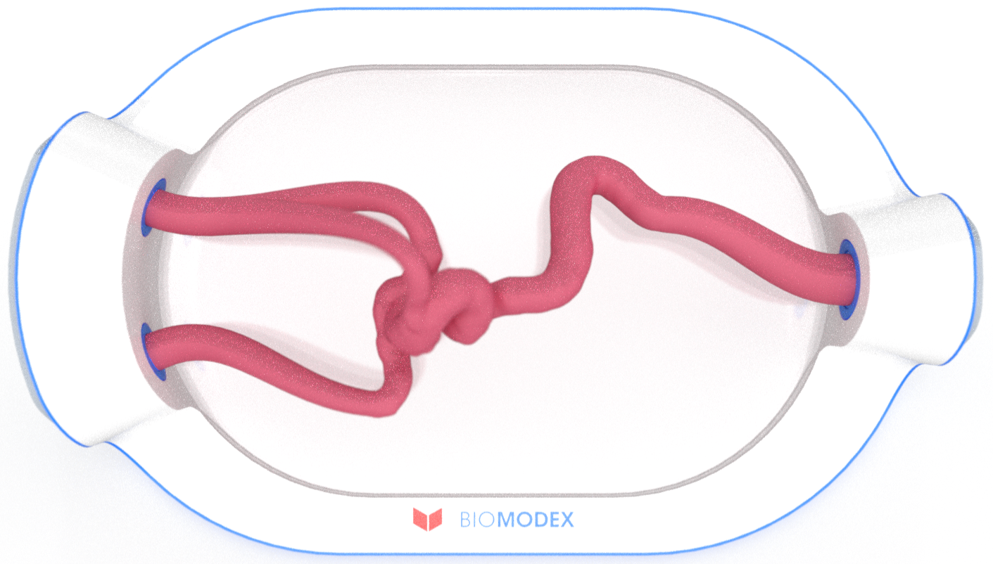 EVIAS -HMS -Cartridge - #0706