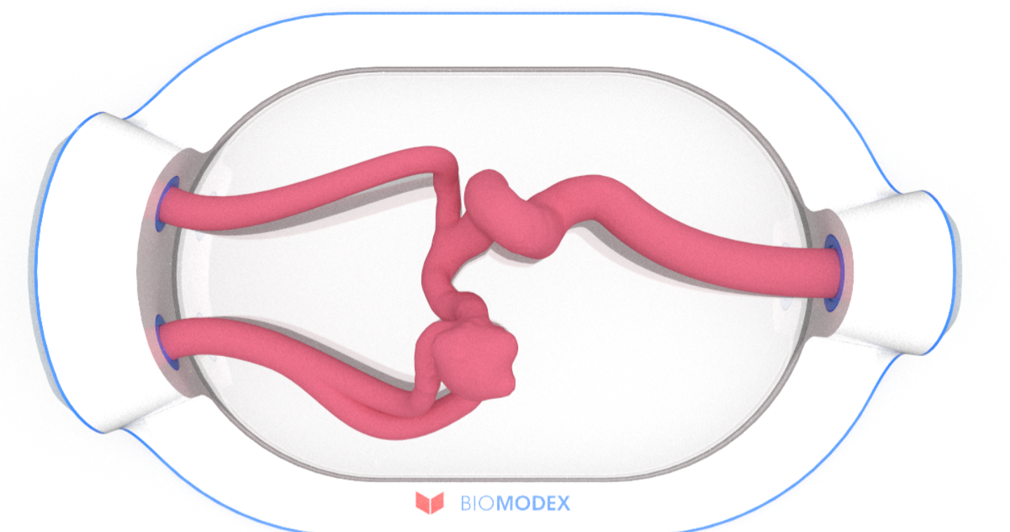 EVIAS -HMS -Cartridge - #0551