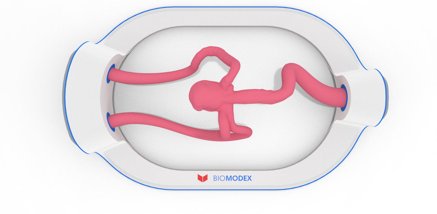 EVIAS -HMS -Cartridge - #322