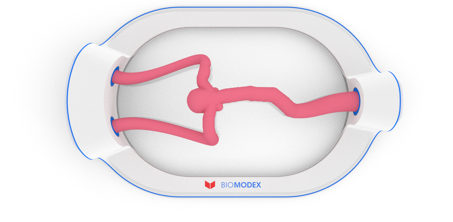 EVIAS -HMS -Cartridge - #23