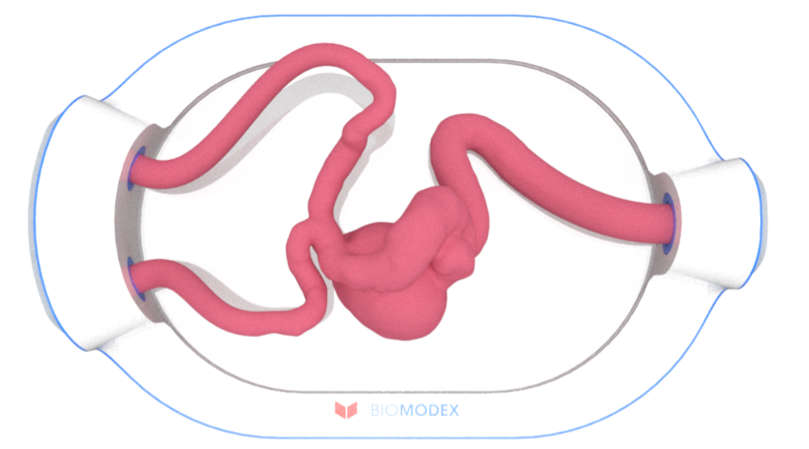 EVIAS -HMS -Cartridge - #0613