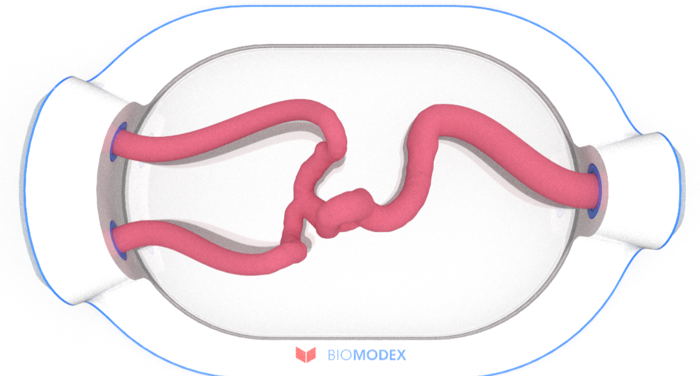 EVIAS -HMS -Cartridge - #0544