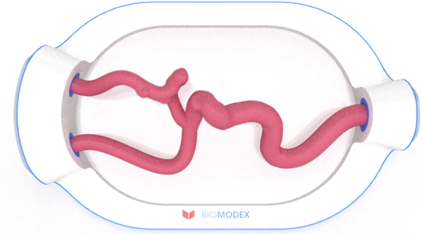 EVIAS -HMS -Cartridge - #0711