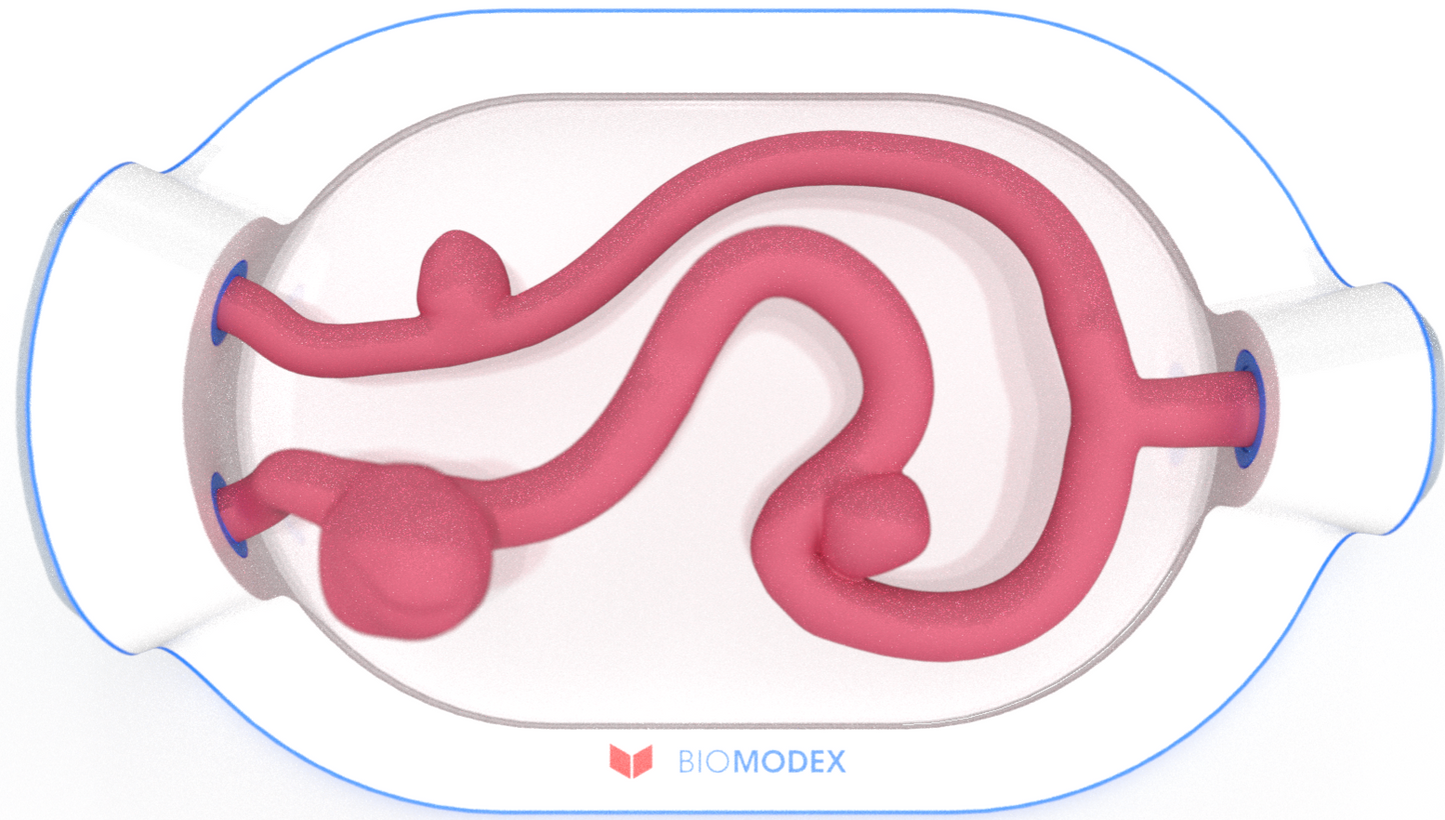 EVIAS -HMS -Cartridge - #0726