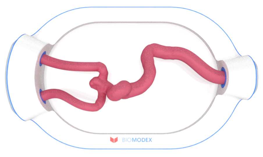 EVIAS -HMS -Cartridge - #0665