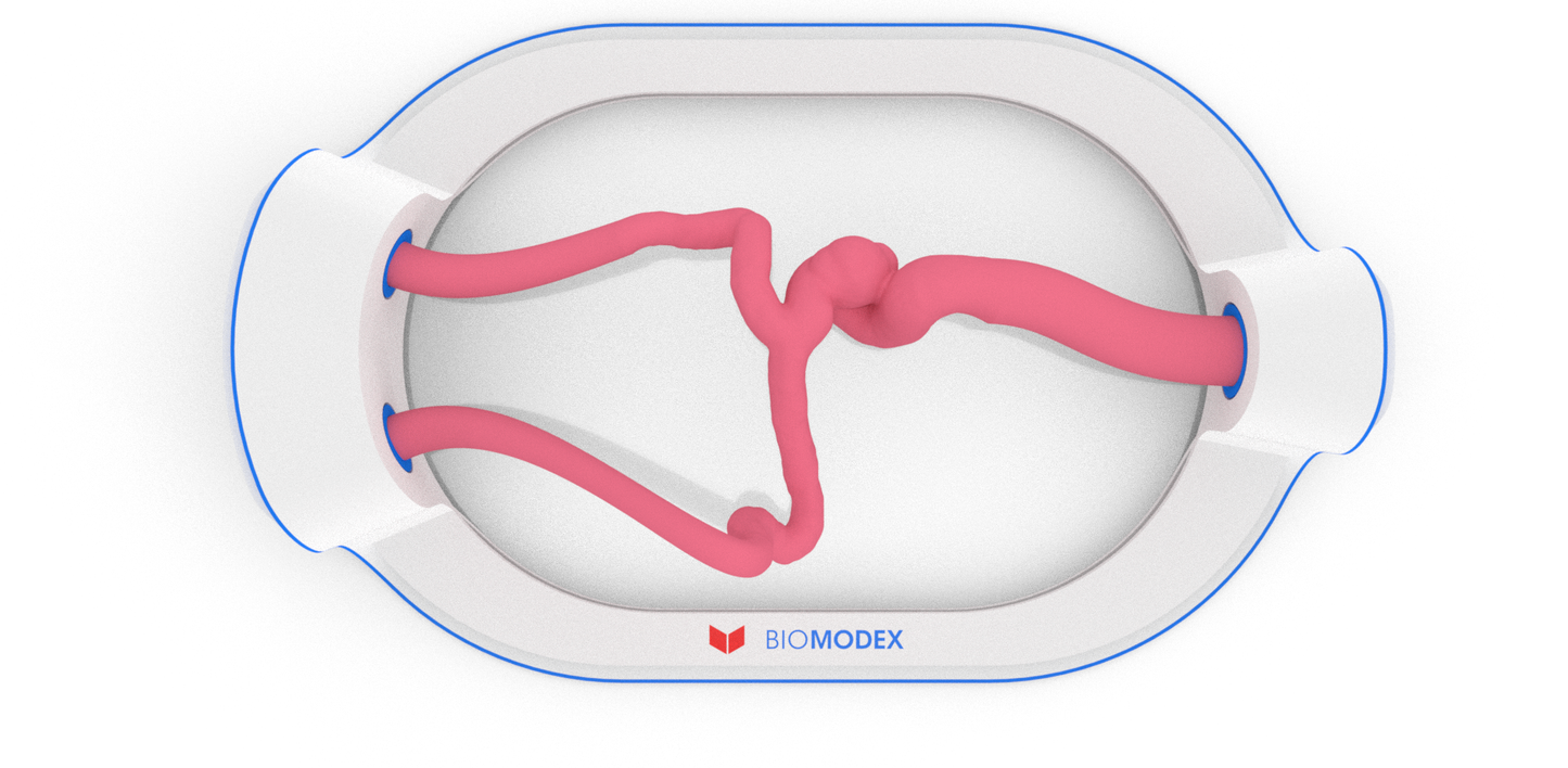 EVIAS -HMS -Cartridge - #54