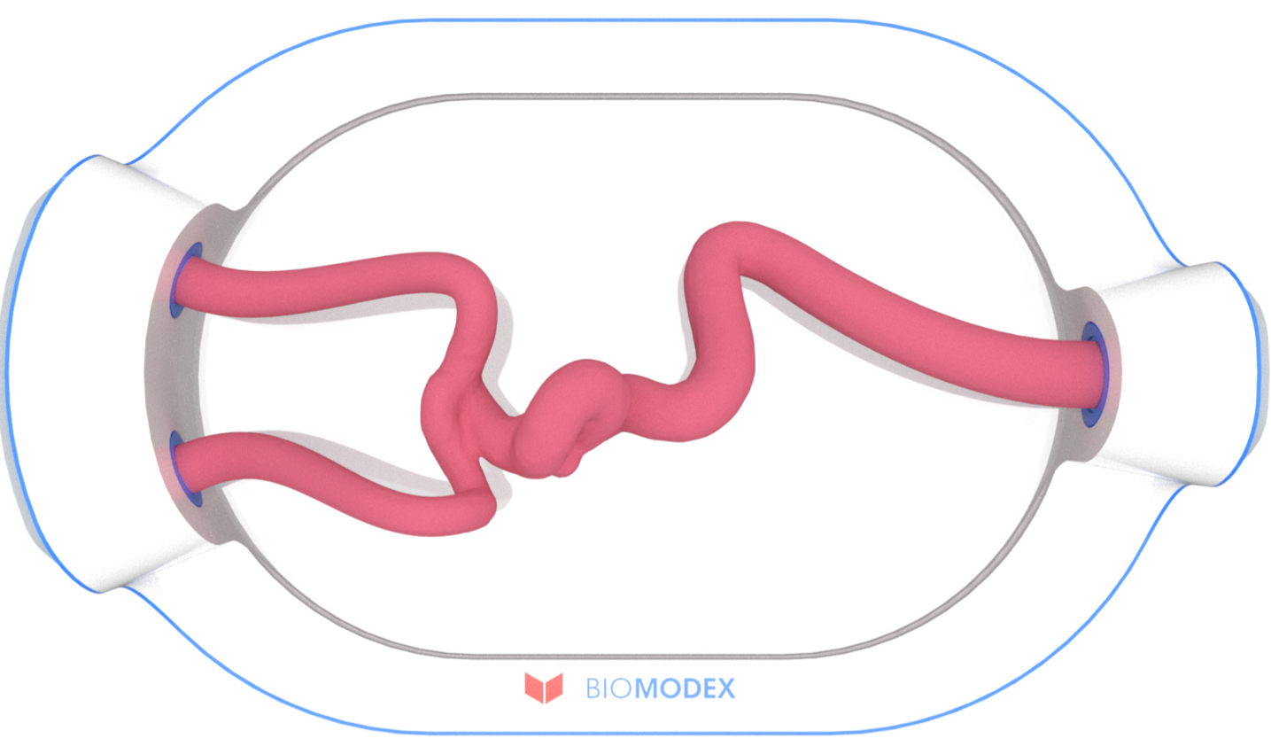 EVIAS -HMS -Cartridge - #0621